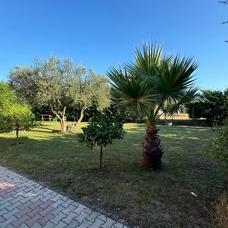 Restorant Hotel Niku Shetaj المظهر الخارجي الصورة